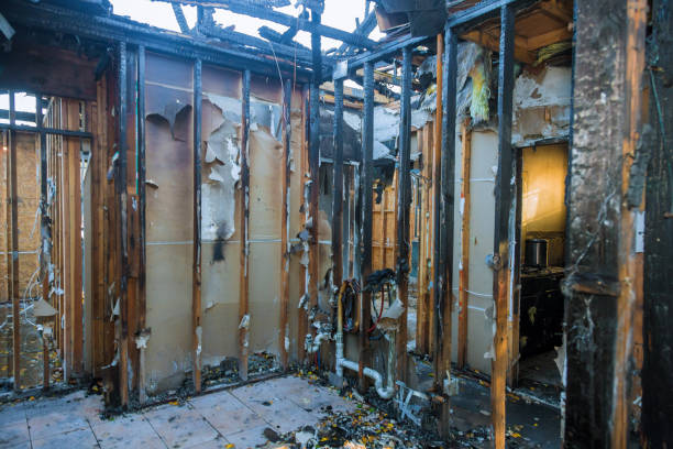 Professional Fire Damage Removal technician working in Friendly, MD